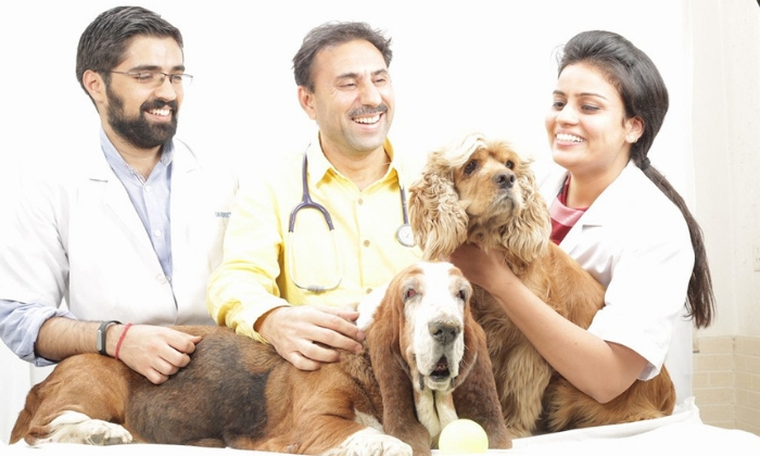 Best Pet Clinic in Gurugram